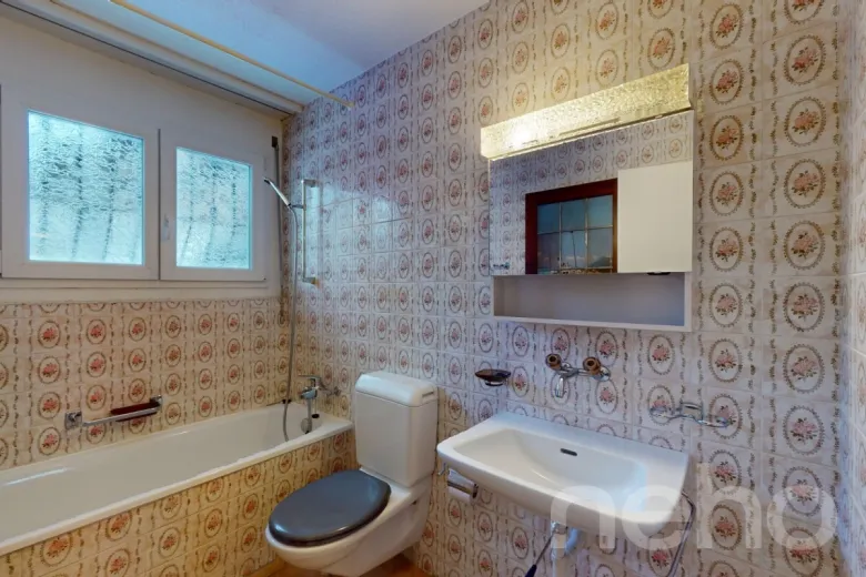 House for sale in Emmetten - Smart Propylaia (10)