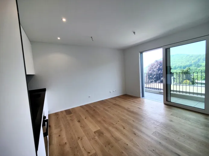 A vendre Cademario Appartement Suisse - cChic-immoHub votre portail immobilier