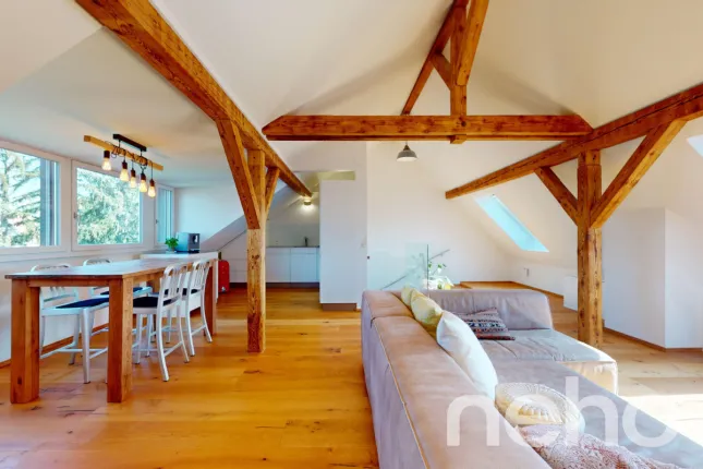 Apartment for sale in Basel (4)