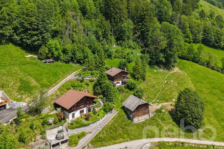 Zu verkaufen Jaun Chalet Schweiz - cChic-immoHub Ihr Immobilienportal