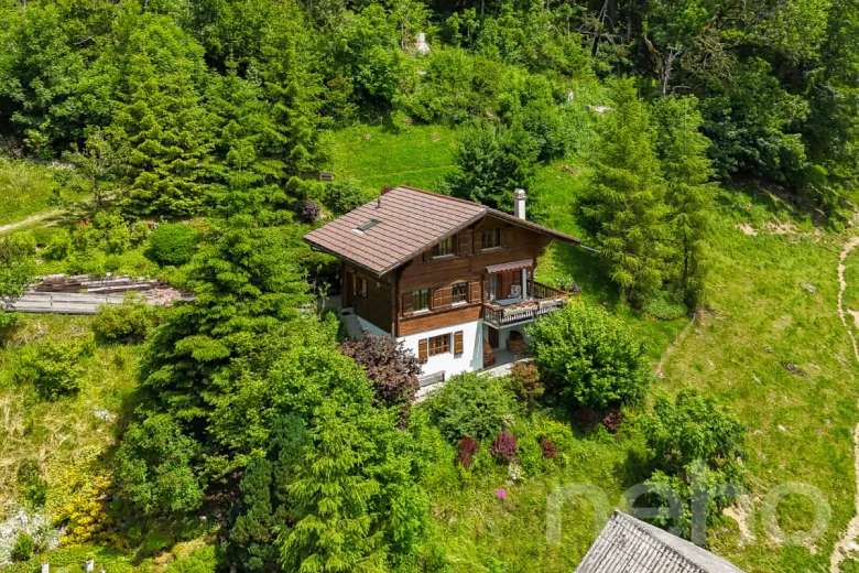 Haus zu verkaufen in Jaun - Chalet zu verkaufen in Jaun, 4.5 Zimmer, 106 m2 - Smart Propylaia (12)