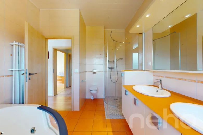 Maison à vendre à Choëx - Smart Propylaia (5)