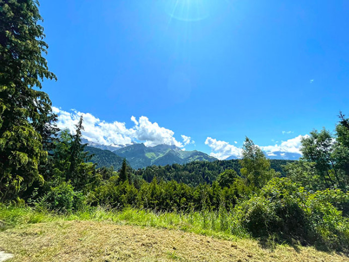 Maison à vendre à Villars-sur-Ollon - Smart Propylaia