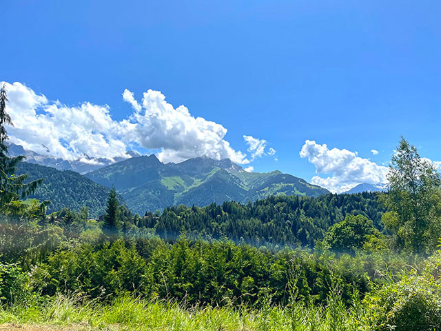 A vendre   Suisse - partenariat avec Smart-Propylaia Portail Immobilier