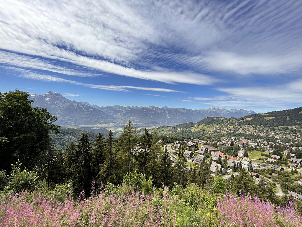 A vendre   Suisse - partenariat avec Smart-Propylaia Portail Immobilier