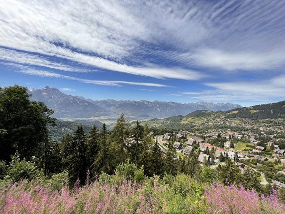 Maison à vendre à Villars-sur-Ollon