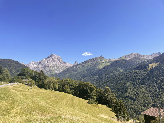 Maison à vendre à Villars-sur-Ollon (2)