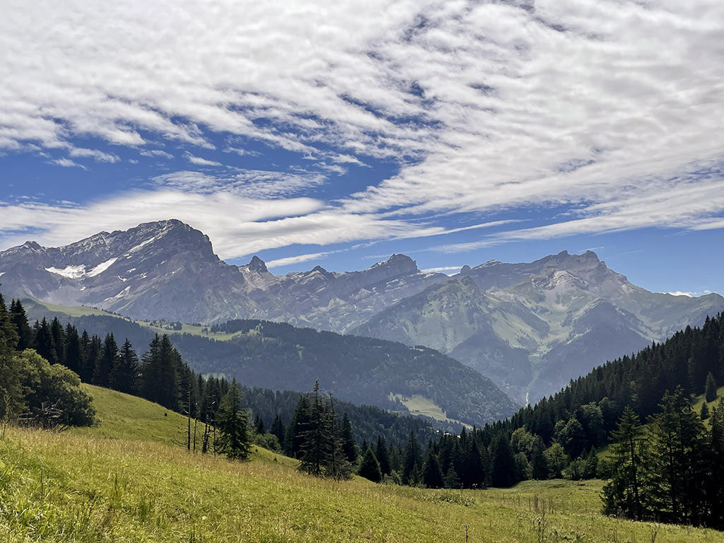 A vendre   Suisse - partenariat avec Smart-Propylaia Portail Immobilier