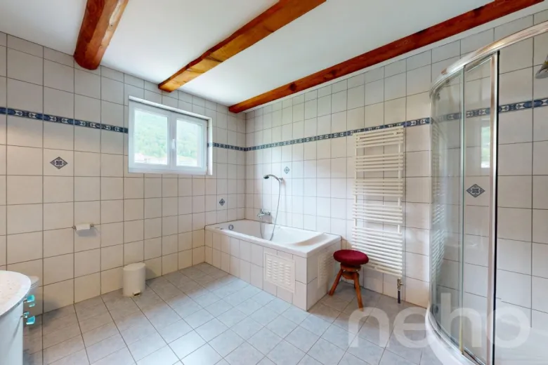 Maison à vendre à Mont-Crosin - Smart Propylaia (11)