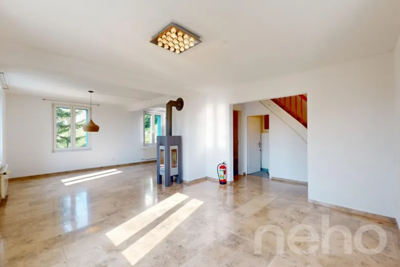 Maison à vendre à Trimbach - Einfamilienhaus in ruhiger Lage mit viel Platz und Potenzial - Smart Propylaia (3)