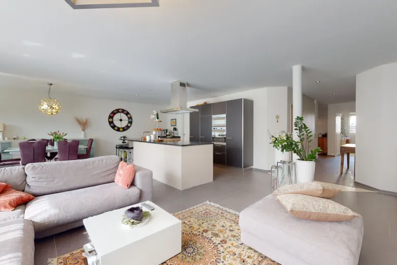 Maison à vendre à Romanshorn - Smart Propylaia (2)