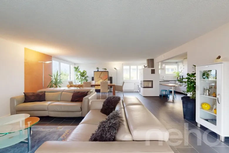 Maison à vendre à Volketswil - Smart Propylaia (4)
