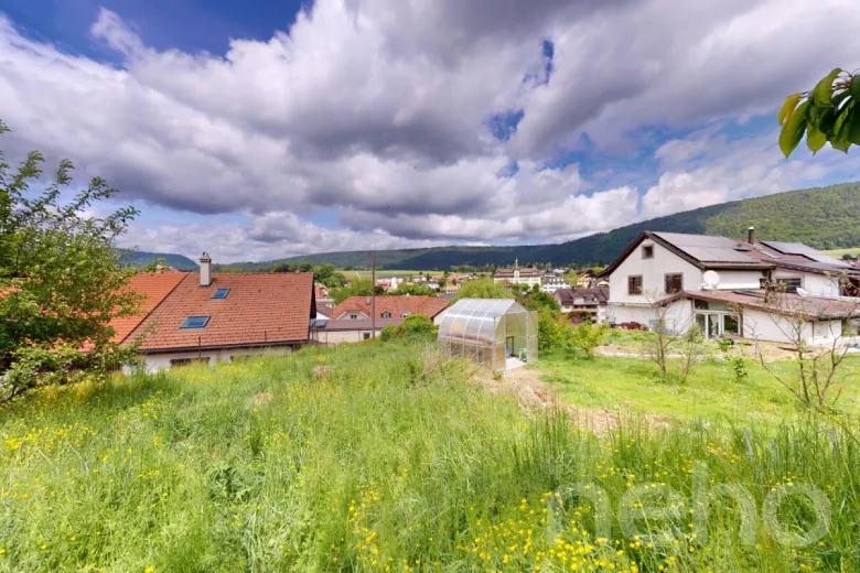 Maison à vendre à Loveresse - Smart Propylaia (7)