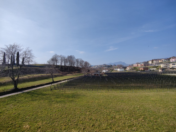 Appartement à vendre à Castel San Pietro