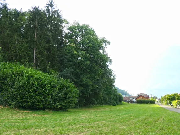 Wohnung zu verkaufen in Eiken (4)