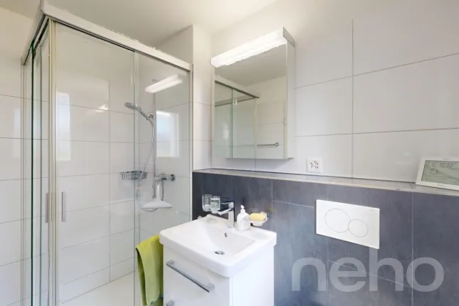 Maison à vendre à Rafz (9)