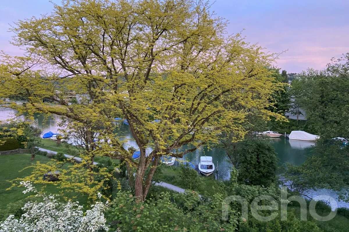 For sale   Switzerland - cChic-immoHub your real estate portal