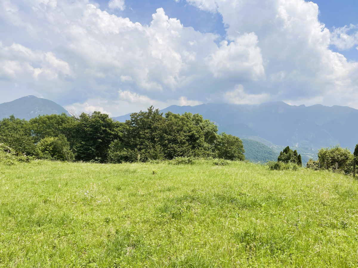 In vendita   Svizzera - 
cChic-immoHub Il vostro portale immobiliare