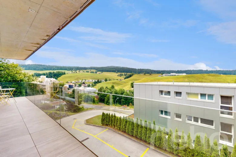 Apartment for sale in Le Locle - Apartment for sale in Le Locle, 5.5 rooms, 210 m2 - Smart Propylaia (12)