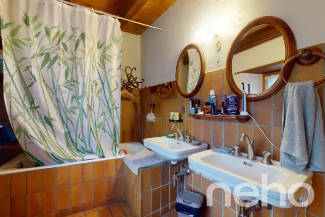 Casa in vendita a Chancy (12)