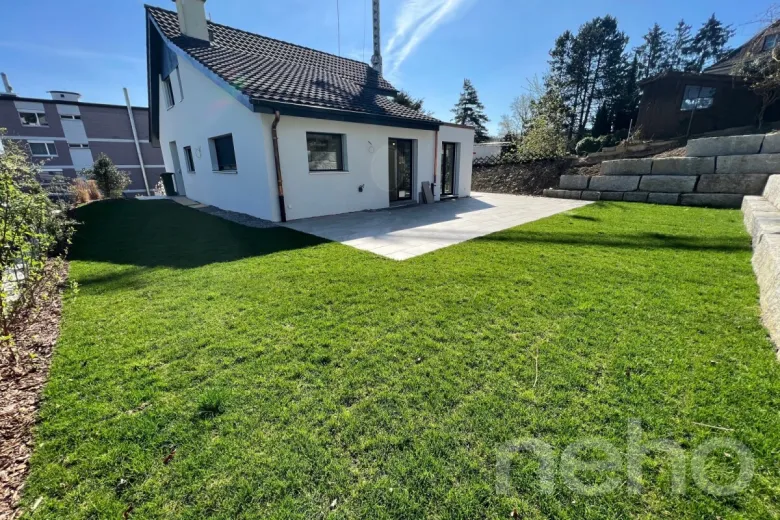 Maison à vendre à Bergdietikon - Smart Propylaia (4)