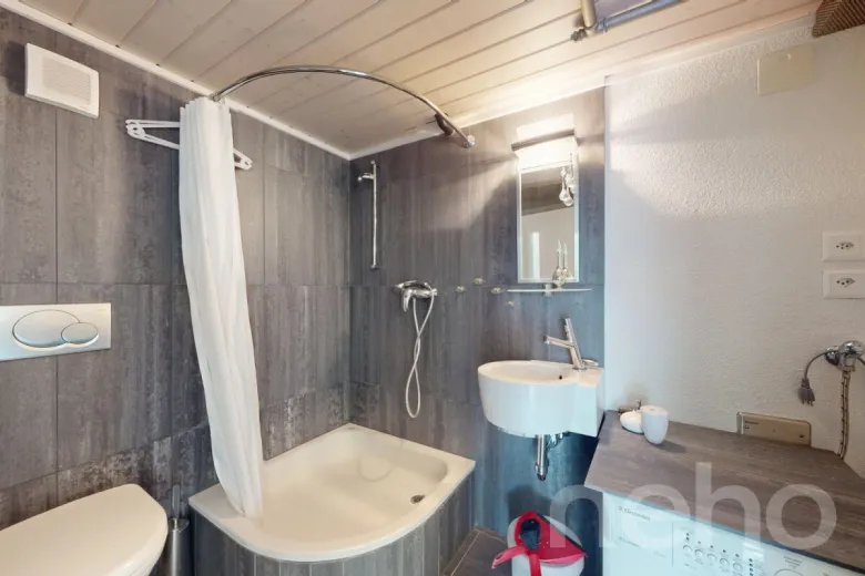 House for sale in Bönigen b. Interlaken - Smart Propylaia (10)