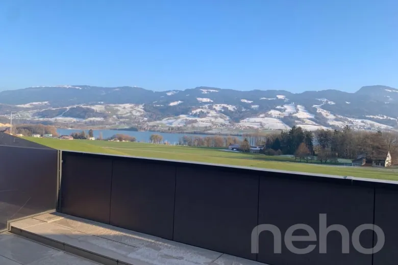 In vendita Casa bifamiliare Gumefens Svizzera - collaborazione con il portale immobiliare Smart-Propylaia