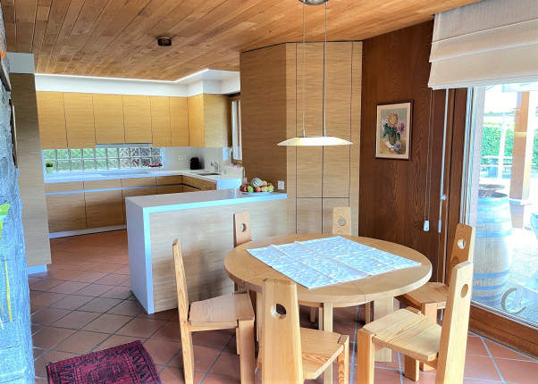 Appartement à vendre à Pregassona (4)