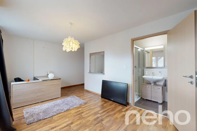 Appartement à vendre à Les Geneveys-sur-Coffrane - Appartement d'exception en duplex avec terrasse et vue dégagée - Smart Propylaia (12)