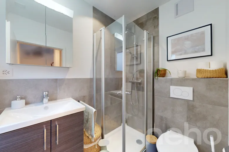 Haus zu verkaufen in Scherz - Zwillingshaus zu verkaufen in Scherz, 6.5 Zimmer, 330 m2 - Smart Propylaia (12)