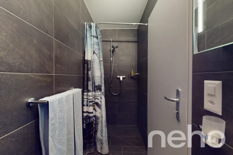 Casa in vendita a Erlinsbach - Smart Propylaia (11)