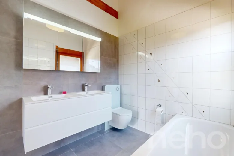 Maison à vendre à Bottenwil - Smart Propylaia (8)