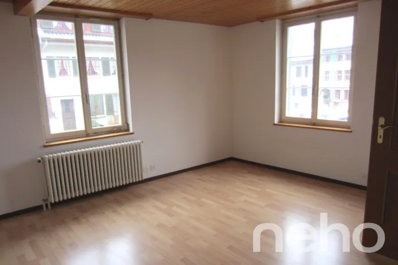 Maison à vendre à Waldenburg - Smart Propylaia (11)