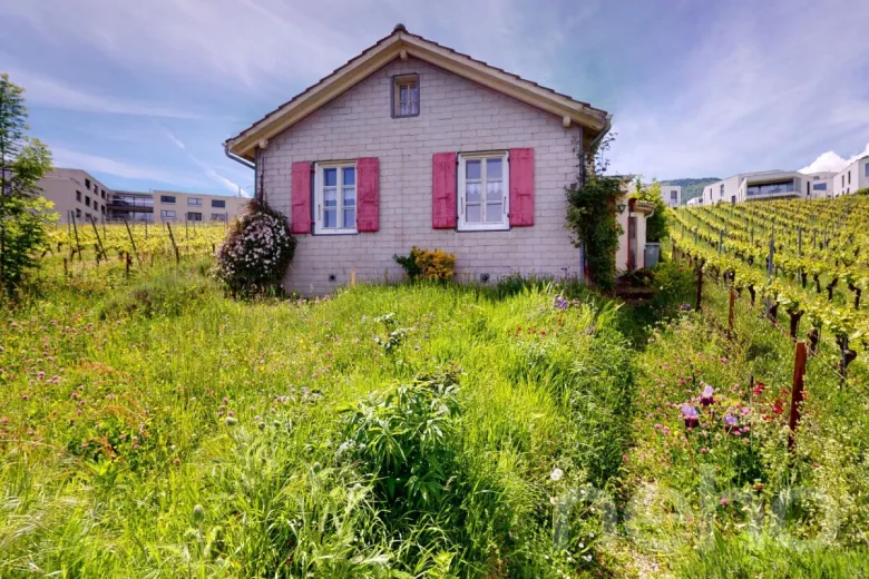 Zu verkaufen Einfamilienhaus Areuse Schweiz - Schweiz - cChic-immoHub Ihr Immobilienportal