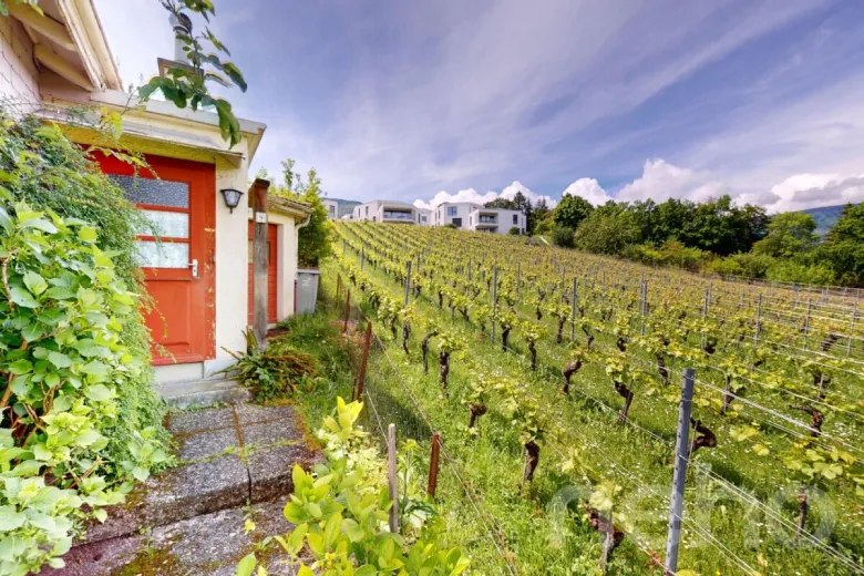 Haus zu verkaufen in Areuse - Smart Propylaia (4)