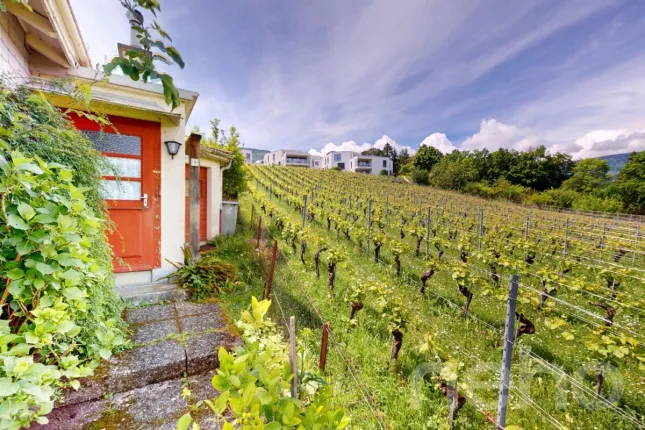 Maison à vendre à Areuse (4)