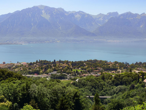 Appartement à vendre à Montreux (2)