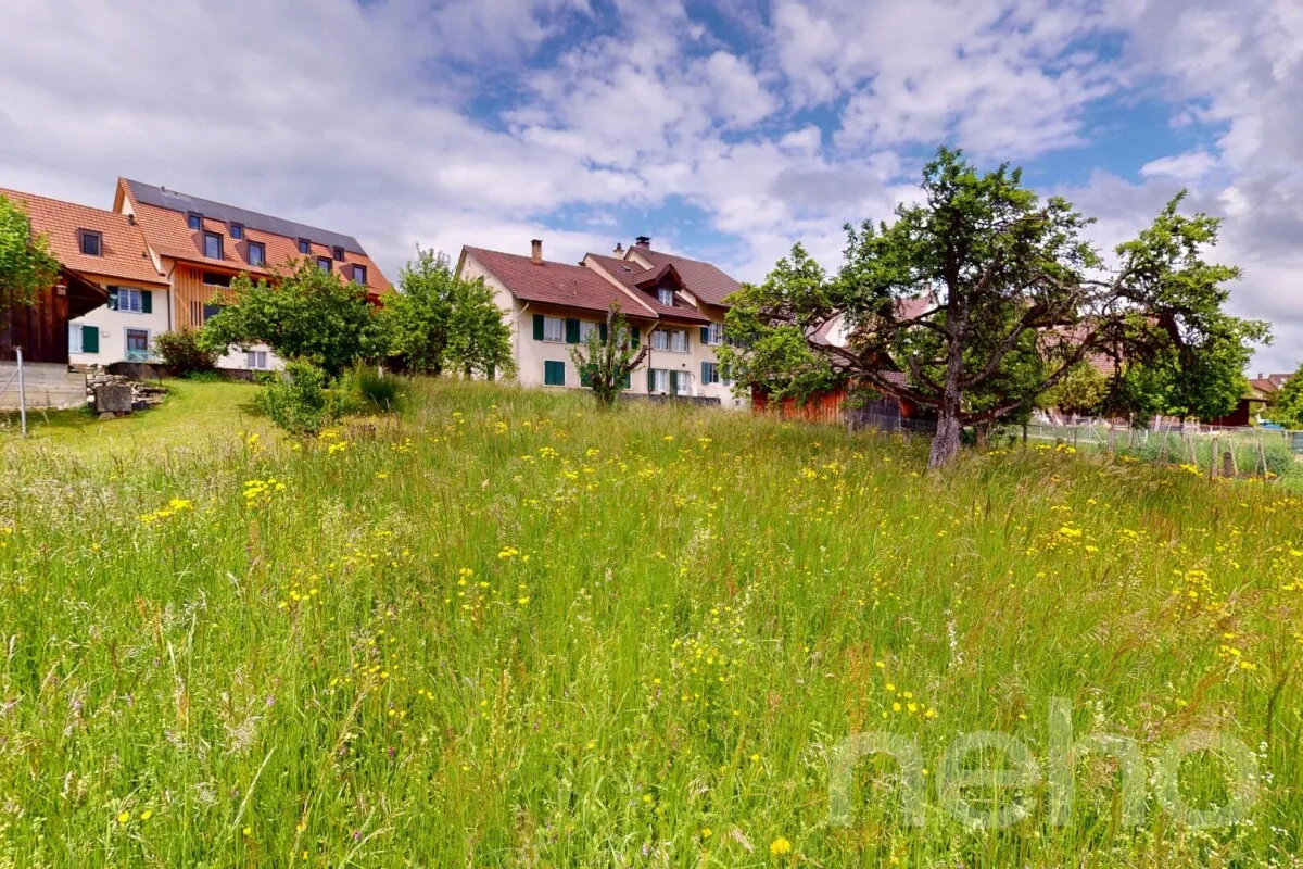 For sale   Switzerland - cChic-immoHub your real estate portal