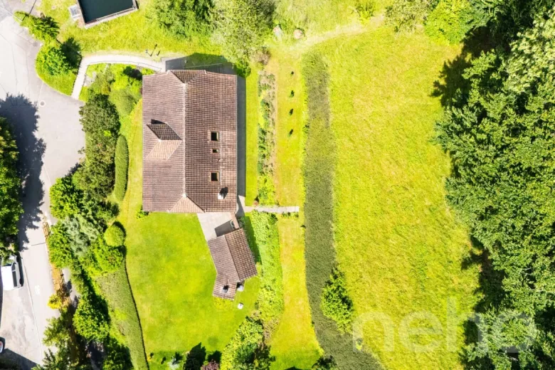 For sale Single house Triengen Switzerland - cChic-immoHub your real estate portal