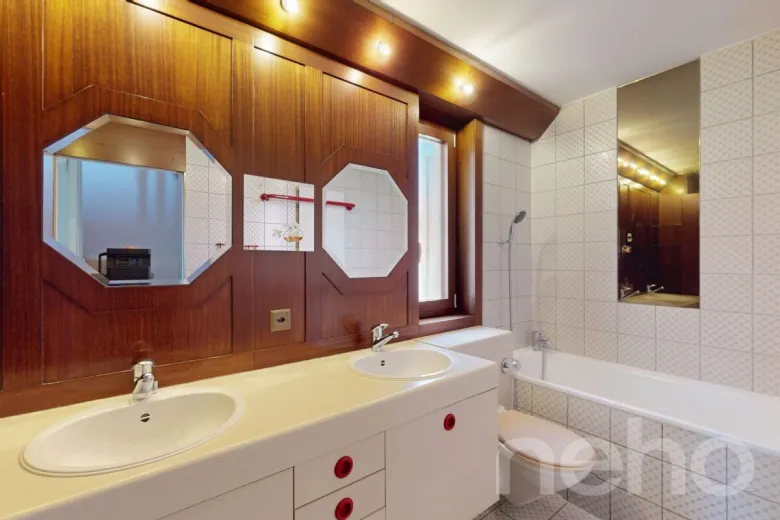 Maison à vendre à Dietikon - Smart Propylaia (10)