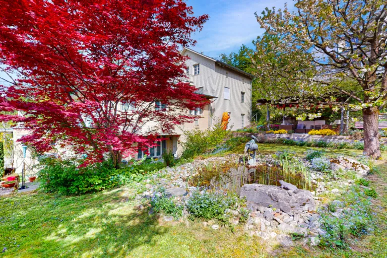 Haus zu verkaufen in Männedorf - Smart Propylaia (2)
