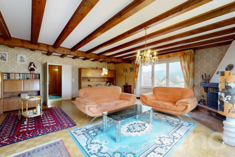 Maison à vendre à Fontaines NE - Smart Propylaia (4)