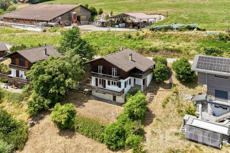 Haus zu verkaufen in Châtel-sur-Montsalvens - Smart Propylaia (4)