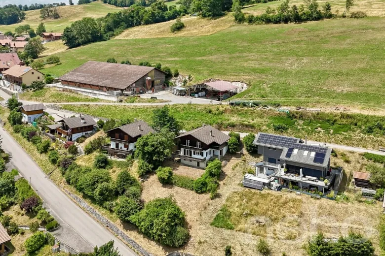 Haus zu verkaufen in Châtel-sur-Montsalvens - Smart Propylaia (5)