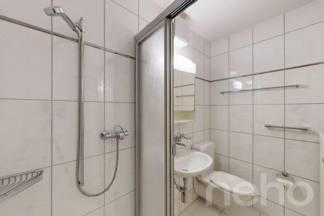 Apartment for sale in Zürich (11)
