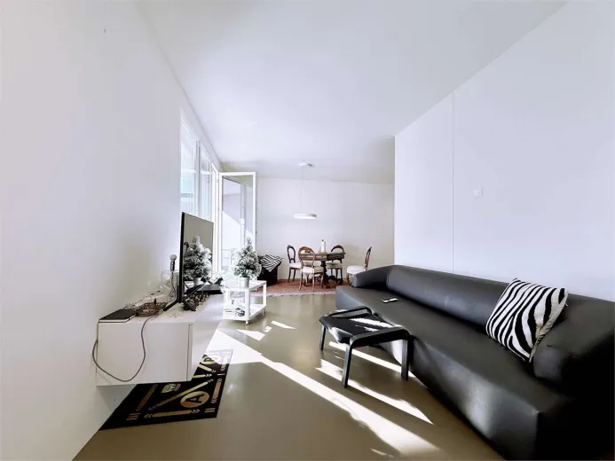 Appartement à vendre à Balerna - Smart Propylaia (5)