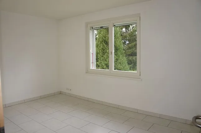 Haus zu vermieten in Le Grand-Saconnex (7)