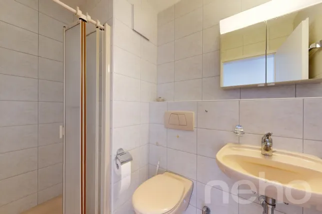 Apartment for sale in Ammerswil AG (9)