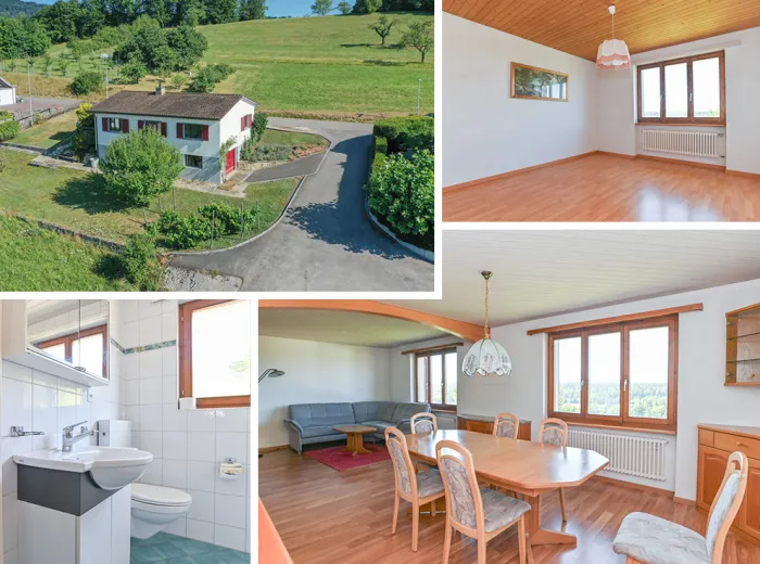 Casa in vendita a Auenstein - Smart Propylaia