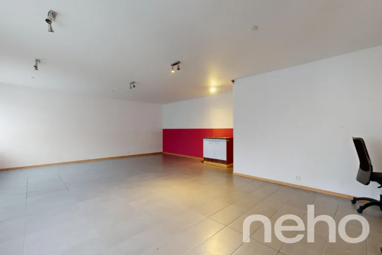 House for sale in Nyon - Multiple dwelling for sale in Nyon - Smart Propylaia (9)